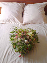 BESTFLORA.RU - ���������� ������� ��������, �����������, ���������� �����, �������, ������. ����������