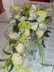 BESTFLORA.RU - ���������� ������� ��������, �����������, ���������� �����, �������, ������. ����������