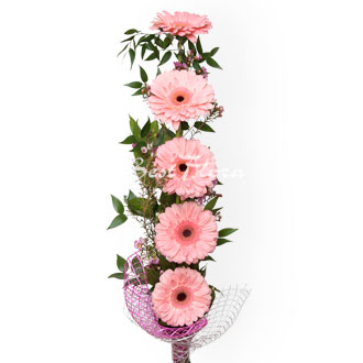 BESTFLORA.RU - Специальное предложение - BESTFLORA.RU - Специальное предложение -