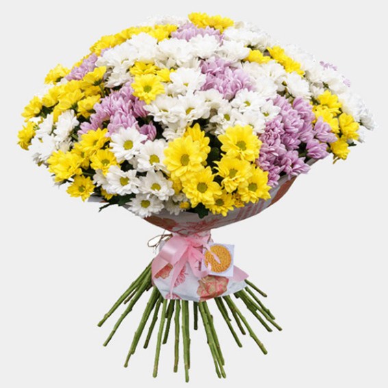 BESTFLORA.RU - Специальное предложение - Букет из 15 кустовых хризантем BESTFLORA.RU - Специальное предложение - Букет из 15 кустовых хризантем