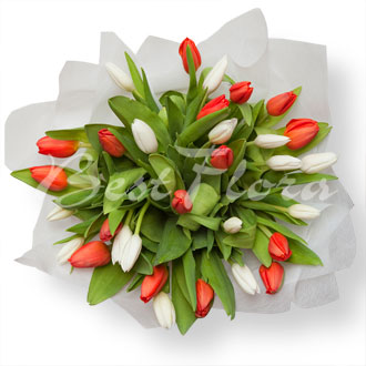 BESTFLORA.RU - Специальное предложение - Букет из тюльпанов (цвет на выбор) BESTFLORA.RU - Специальное предложение - Букет из тюльпанов (цвет на выбор)